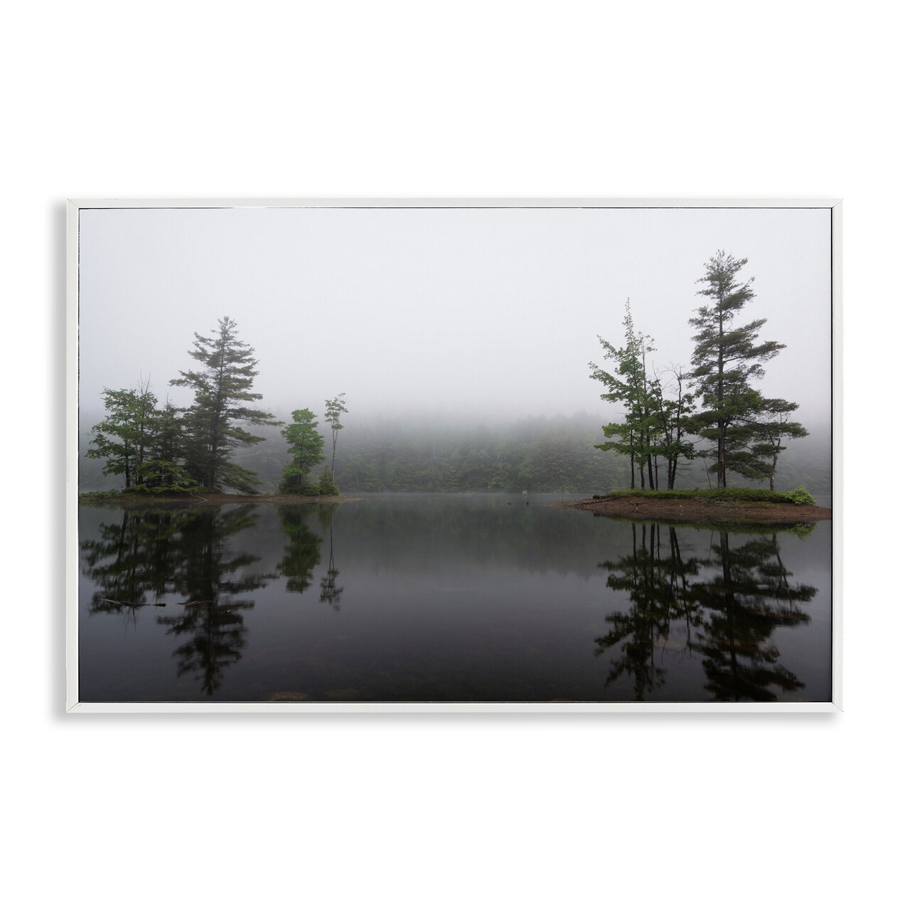 Stupell Industries Adirondack Lake Reflections Framed Giclee, design by James Rodewald